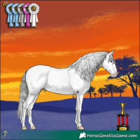 Horse Color:Liver Red Dun Mushroom Appaloosa