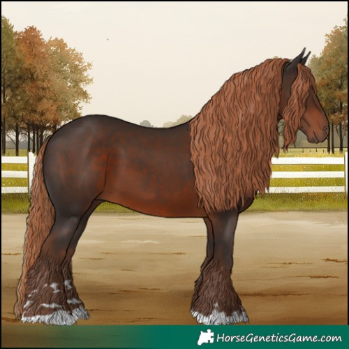 Horse Color:Liver Chestnut 