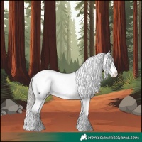 Horse Color:White Spotted Liver Red Dun Mushroom Appaloosa Rabicano 