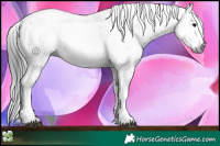 Horse Color:Gray Black Sabino 