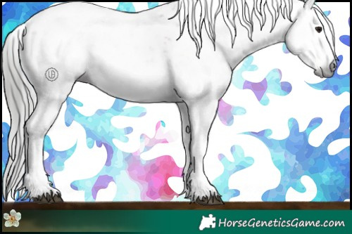 Horse Color:Gray Bay Sabino 