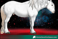 Horse Color:Black Pearl Sabino 