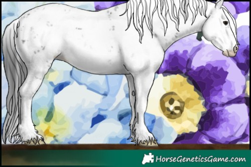 Horse Color:Black Sabino