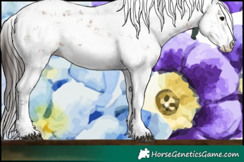 Horse Color:Bay Sabino 