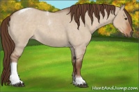 Horse Color:Liver Red Dun Roan Tobiano 