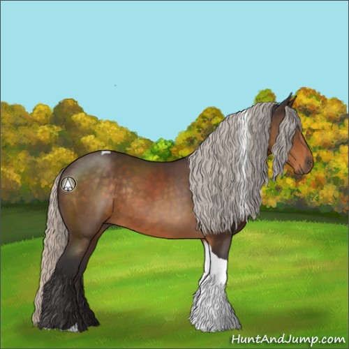 Horse Color:Silver Buckskin Tobiano Rabicano
