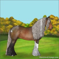 Horse Color:Silver Buckskin Tobiano Rabicano 