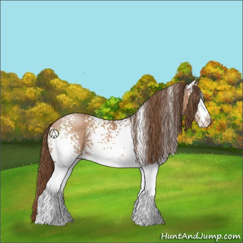 Horse Color:White Spotted Brown Pearl
