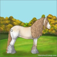 Horse Color:White Spotted Smoky Black Pearl Sabino