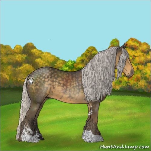 Horse Color:Silver Smoky Black Sabino 