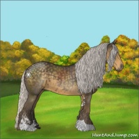 Horse Color:Silver Smoky Black Sabino 