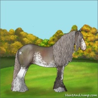 Horse Color:White Spotted Silver Black 
