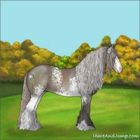 Horse Color:White Spotted Silver Black Sabino 