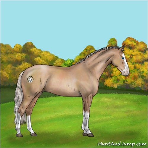 Horse Color:Silver Black Pearl Sabino Splash Rabicano 