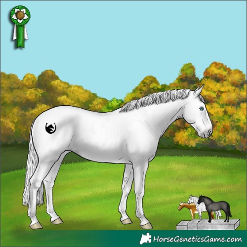Horse Color:Gray White Spotted Silver Sable Champagne Pearl Dun Sabino Rabicano