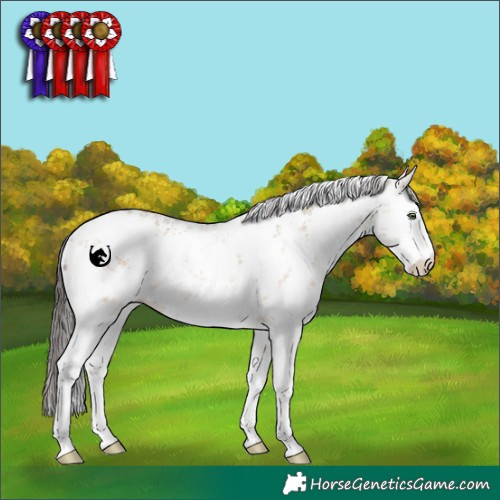Horse Color:White Spotted Sable Champagne Dun Sabino Rabicano