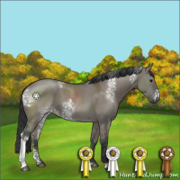 Horse Color:White Spotted Grullo