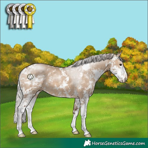 Horse Color:Silver Brown Dun Sabino 