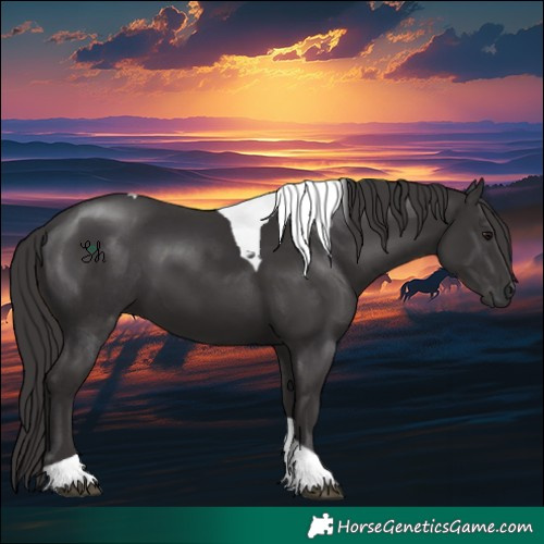 Horse Color:Smoky Black Tobiano