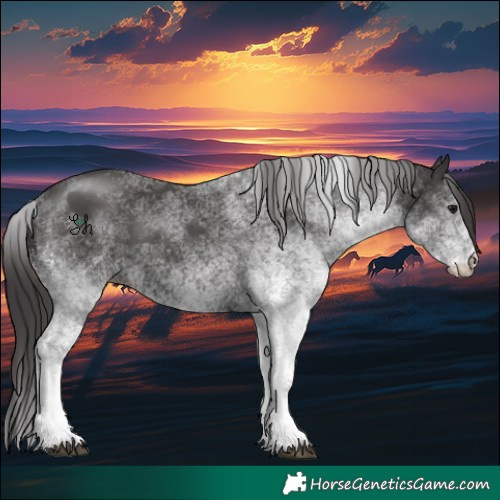 Horse Color:White Spotted Smoky Black