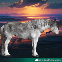 Horse Color:White Spotted Smoky Black