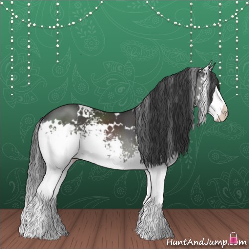 Horse Color:White Spotted Black Splash 