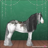 Horse Color:White Spotted Black Splash 
