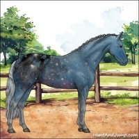 Horse Color:ERROR: UNKNOWN ANOMALY