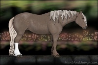 Horse Color:Silver Black 