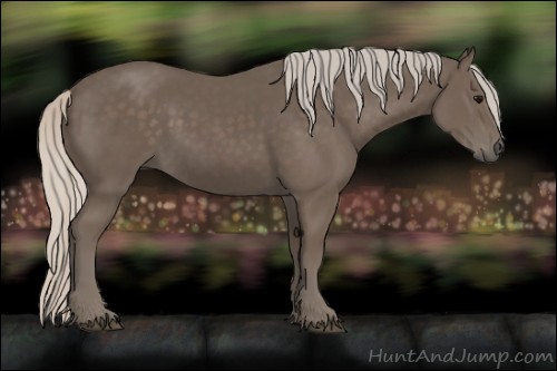 Horse Color:Silver Black 