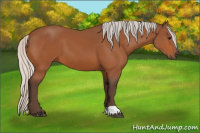 Horse Color:Silver Bay 