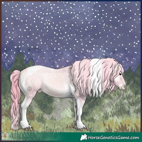 Horse Color:Watercolor Buckskin Onyx Tobiano Appaloosa Rabicano 