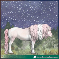 Horse Color:Watercolor Buckskin Onyx Tobiano Appaloosa Rabicano 
