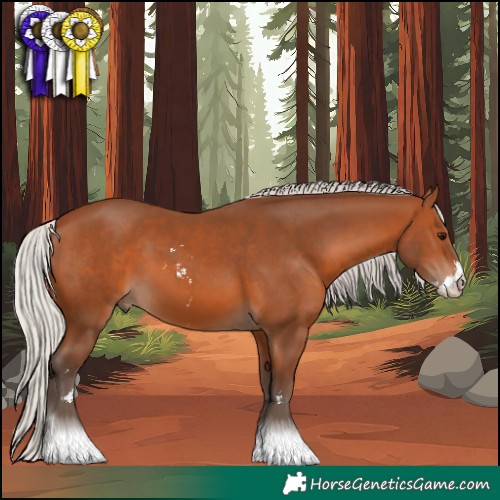 Horse Color:Silver Brown Sabino 