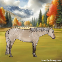 Horse Color:White Spotted Silver Brown Dun 