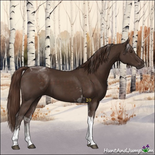 Horse Color:Liver Chestnut Tobiano