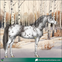 Horse Color:White Spotted Liver Chestnut 