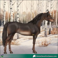 Horse Color:Liver Chestnut 