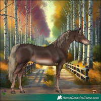 Horse Color:Liver Chestnut 