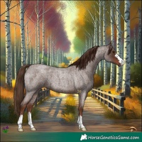 Horse Color:Liver Red Roan 