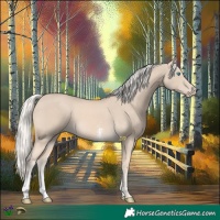 Horse Color:Cremello Sabino 