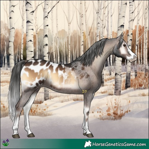 Horse Color:Liver Red Onyx Splash Appaloosa 