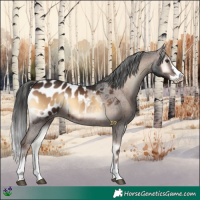 Horse Color:Liver Red Onyx Splash Appaloosa