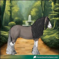 Horse Color:White Spotted Grullo Splash 