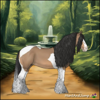 Horse Color:Bay Dun Splash Tobiano