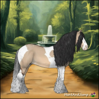 Horse Color:Bay Dun Splash Tobiano 
