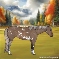Horse Color:White Spotted Silver Brown Dun Tobiano