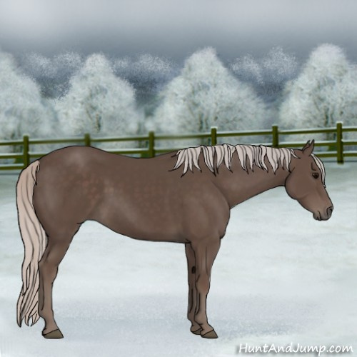 Horse Color:Silver Black 