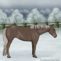 Horse Color:Silver Black 