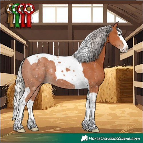 Horse Color:Silver Bay Splash Tobiano